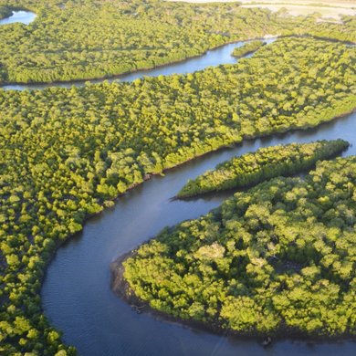 Article Push Environment